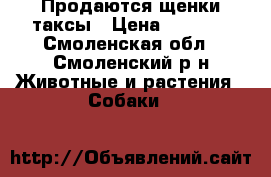 Продаются щенки таксы › Цена ­ 4 000 - Смоленская обл., Смоленский р-н Животные и растения » Собаки   